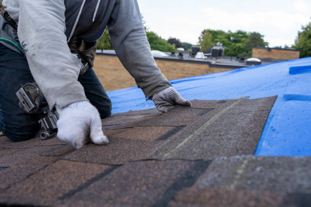 Best Residential Roofing Contractor  in Diamond, IL