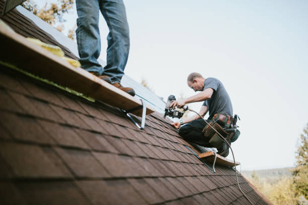 Best Metal Roofing Contractor  in Diamond, IL